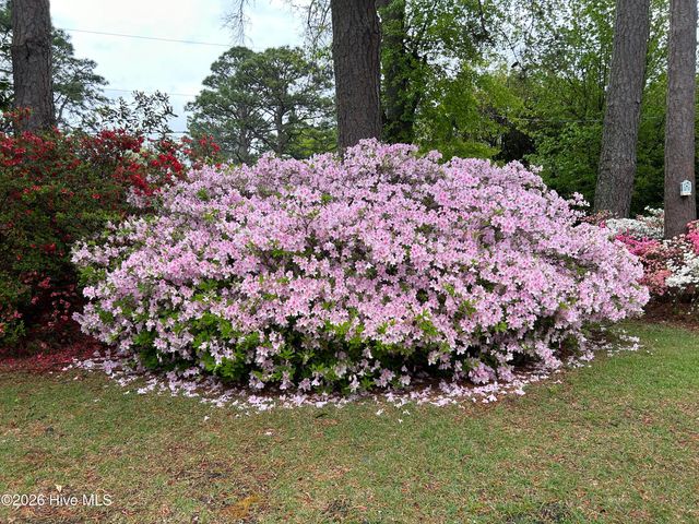 802 Pinetree Drive, New Bern, NC 28562