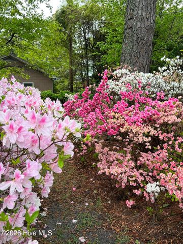 802 Pinetree Drive, New Bern, NC 28562