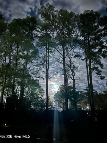 802 Pinetree Drive, New Bern, NC 28562