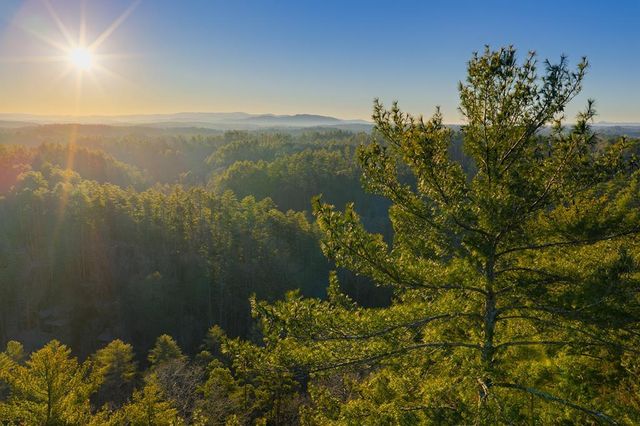 Lot 157 Roaring Forks Lane, Ellijay, GA 30540