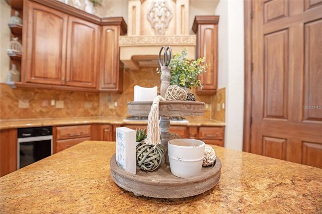 11050 CONISTON WAY, Windermere, FL 34786