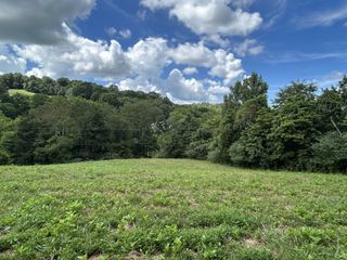 1 Chicken Creek Rd, Pulaski, TN 38478