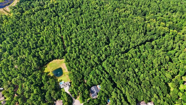 27126 Bearclaw Court, Magnolia, TX 77355