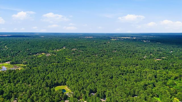 27126 Bearclaw Court, Magnolia, TX 77355