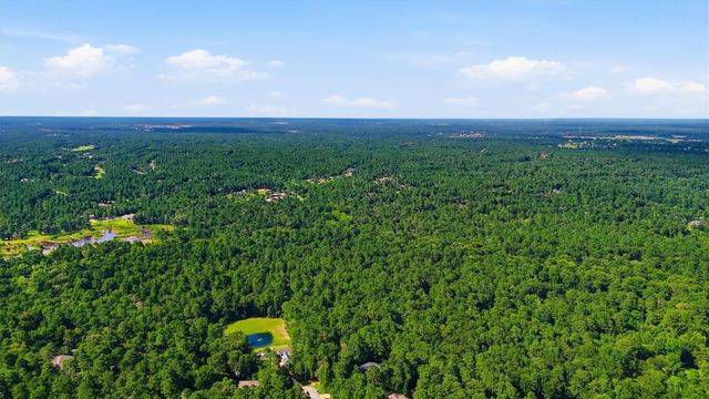 27126 Bearclaw Court, Magnolia, TX 77355