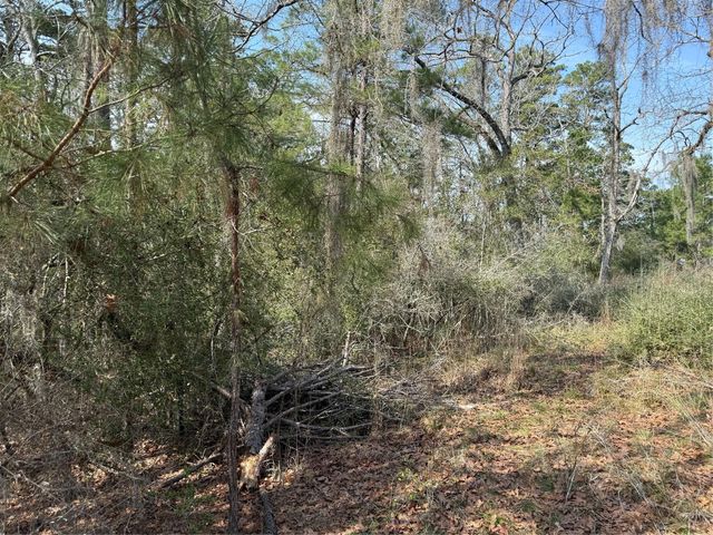 TBD Arrow Head Lane, Huntsville, TX 77320