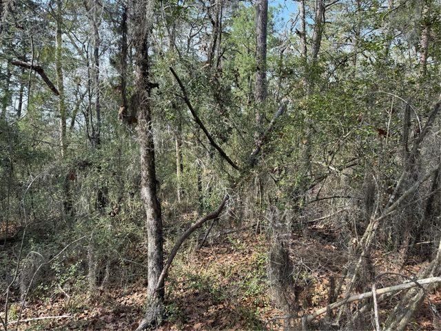 TBD Arrow Head Lane, Huntsville, TX 77320