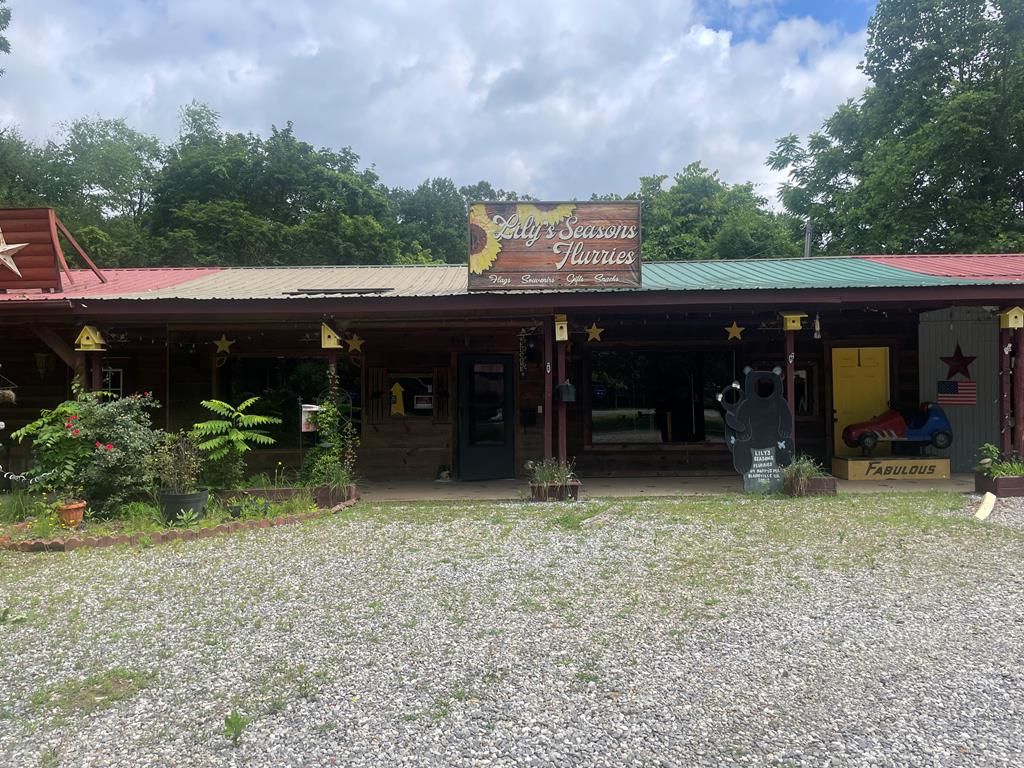 64 Pappys Plaza, Blairsville, GA 30512