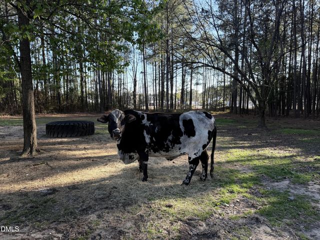 3032 Federal Road, Benson, NC 27504