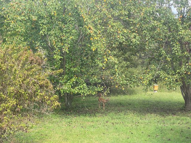 208 Tomsic Rd, Indian Mound, TN 37079