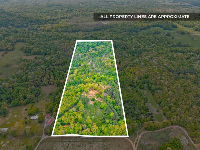 208 Tomsic Rd, Indian Mound, TN 37079