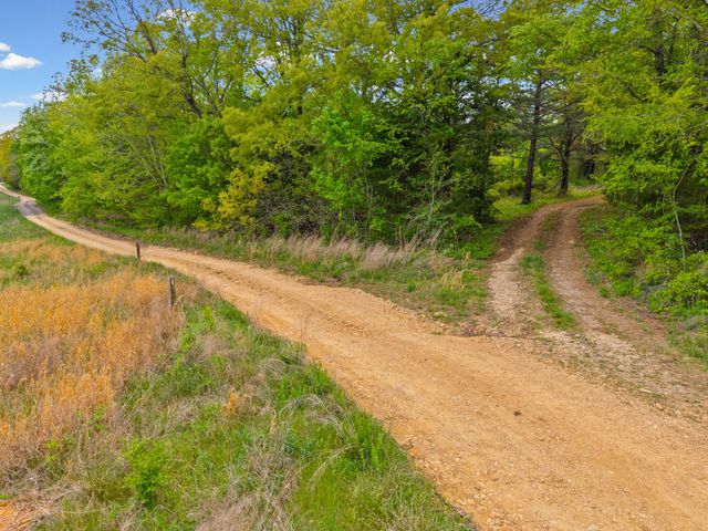 208 Tomsic Rd, Indian Mound, TN 37079
