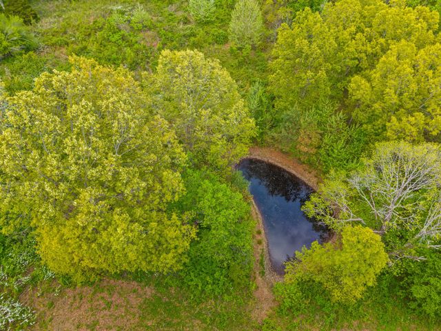 208 Tomsic Rd, Indian Mound, TN 37079