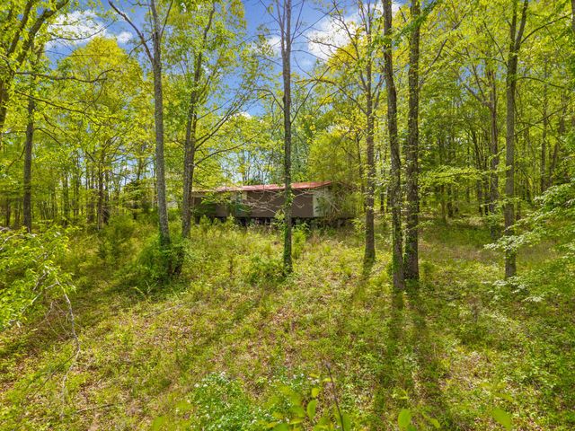 208 Tomsic Rd, Indian Mound, TN 37079