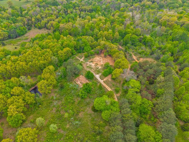 208 Tomsic Rd, Indian Mound, TN 37079