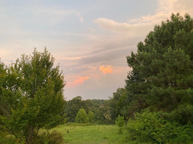 208 Tomsic Rd, Indian Mound, TN 37079