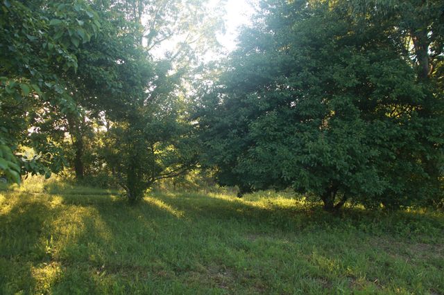 208 Tomsic Rd, Indian Mound, TN 37079