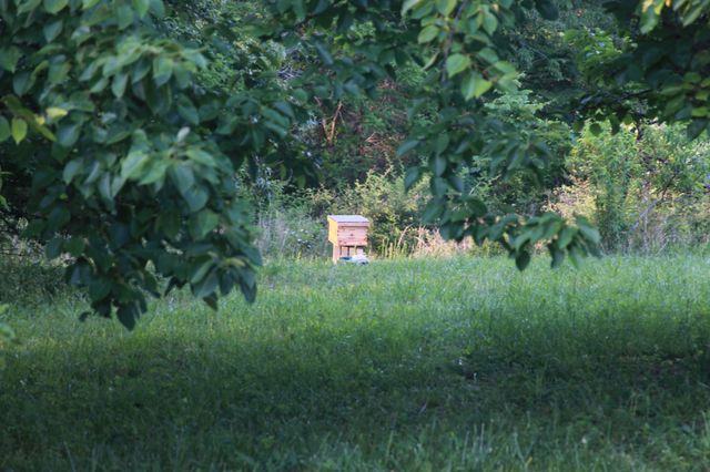 208 Tomsic Rd, Indian Mound, TN 37079