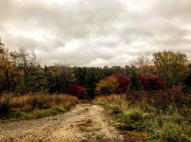 208 Tomsic Rd, Indian Mound, TN 37079