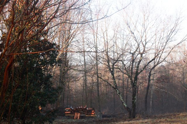 208 Tomsic Rd, Indian Mound, TN 37079