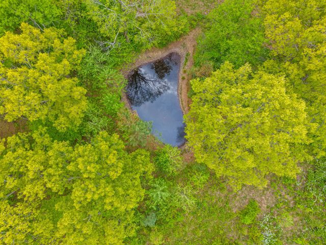 208 Tomsic Rd, Indian Mound, TN 37079