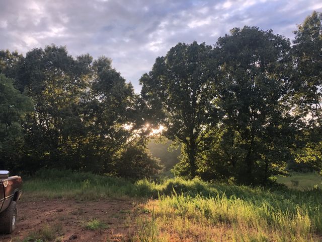 208 Tomsic Rd, Indian Mound, TN 37079
