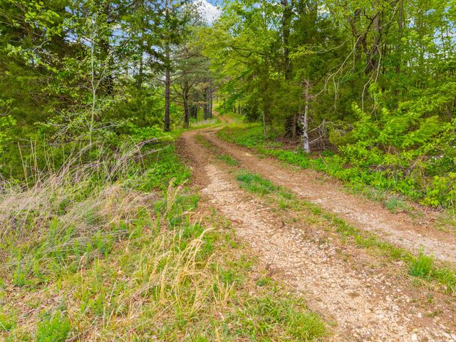 208 Tomsic Rd, Indian Mound, TN 37079