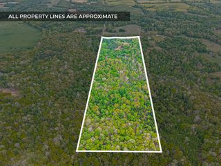 208 Tomsic Rd, Indian Mound, TN 37079