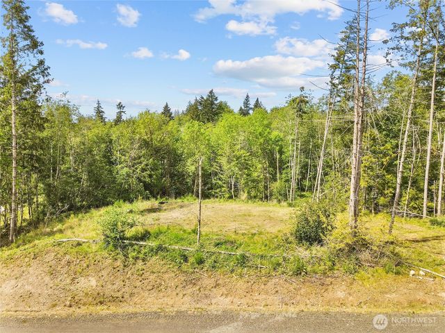 120 E Cascara Cove Lane, Shelton, WA 98584