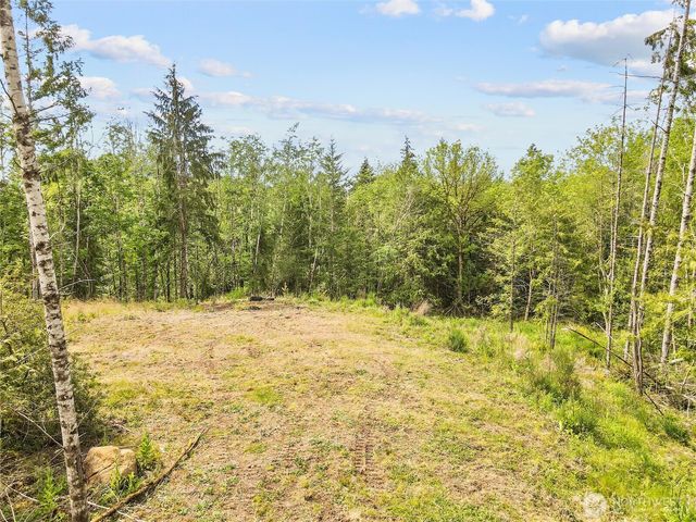 120 E Cascara Cove Lane, Shelton, WA 98584