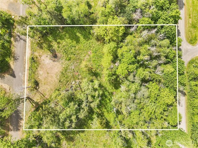120 E Cascara Cove Lane, Shelton, WA 98584