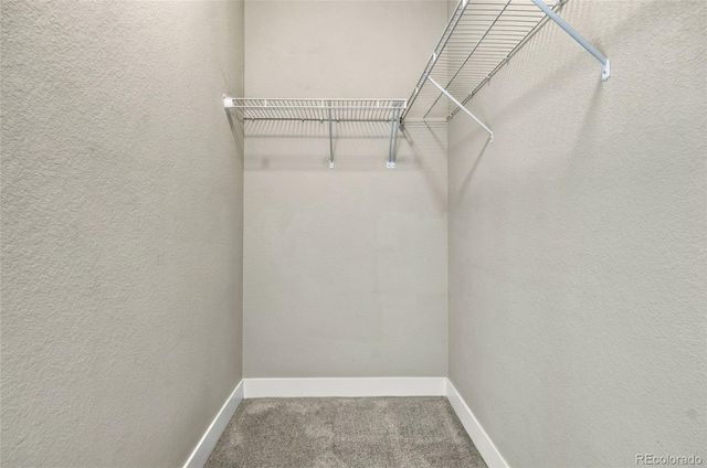 2446 Welton Street, Denver, CO 80205