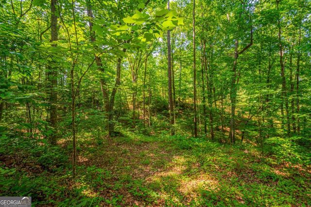 0 Old Cherokee Way, Dawsonville, GA 30534
