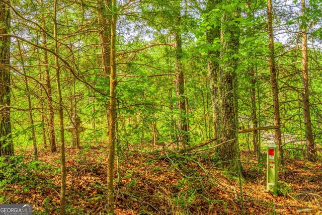 0 Old Cherokee Way, Dawsonville, GA 30534