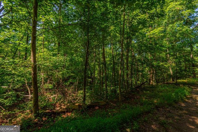 0 Old Cherokee Way, Dawsonville, GA 30534