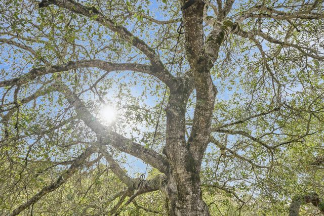 5146 Vista Grande Dr, Santa Rosa, CA 95403