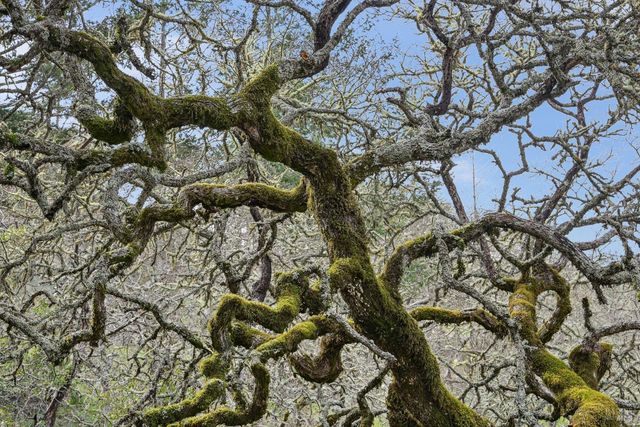 5146 Vista Grande Dr, Santa Rosa, CA 95403