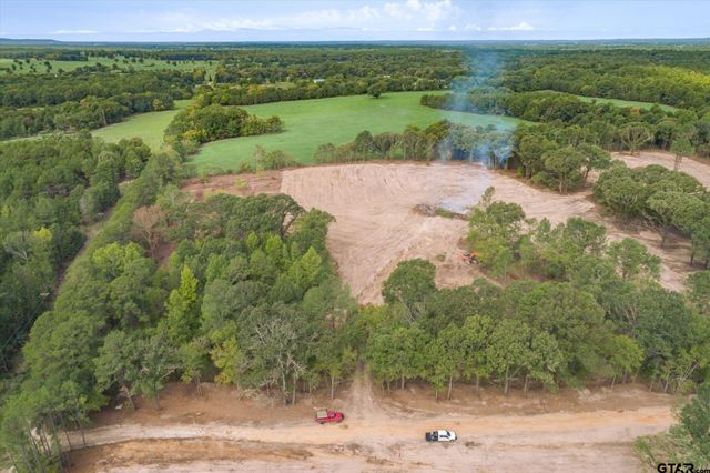 Tract 1 - TBD County Road 4307, Larue, TX 75770