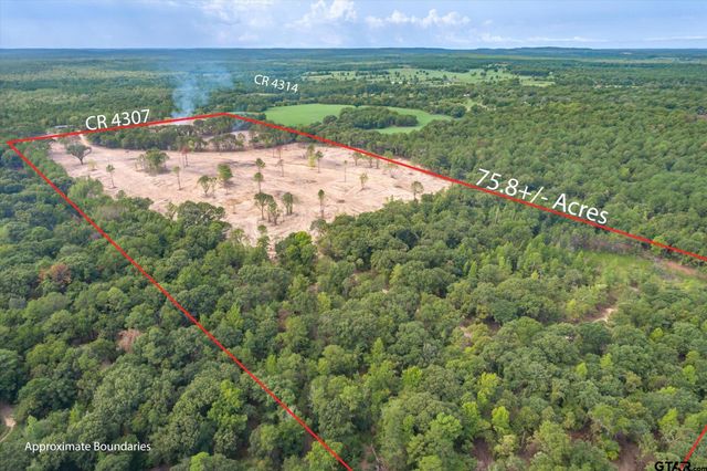 Tract 1 - TBD County Road 4307, Larue, TX 75770
