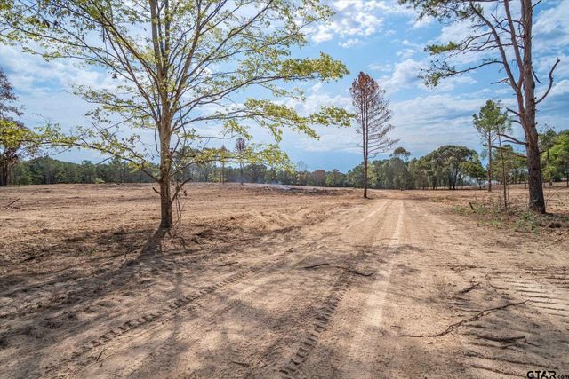 Tract 1 - TBD County Road 4307, Larue, TX 75770
