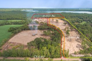 Tract 1 - TBD County Road 4307, Larue, TX 75770