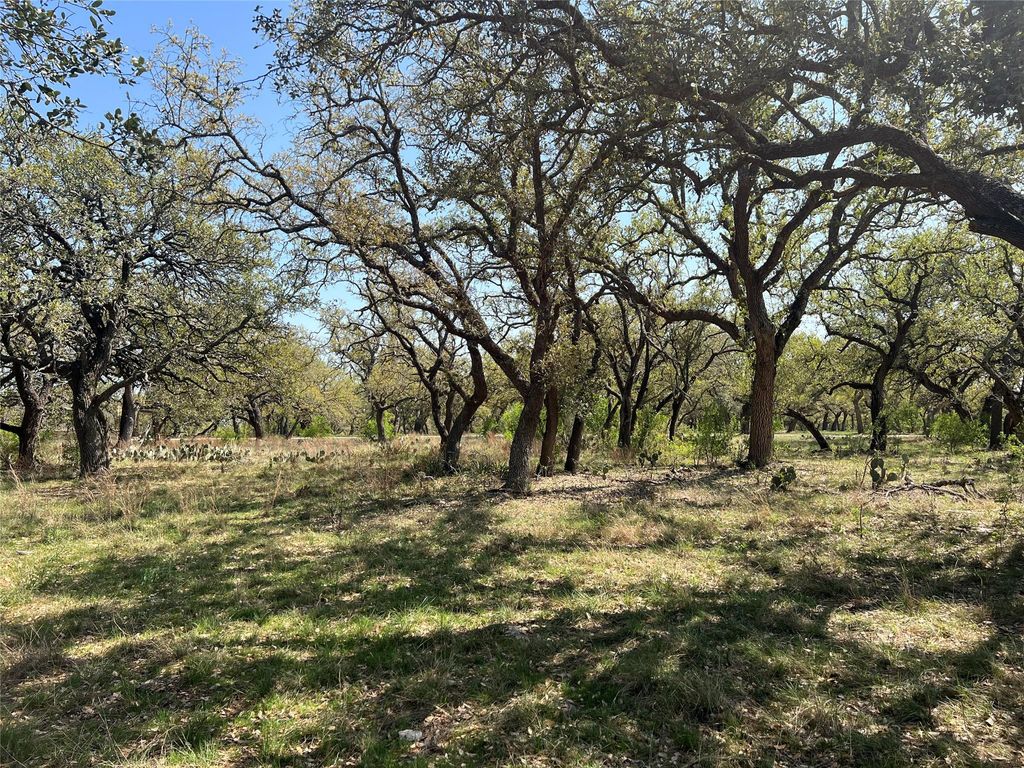 Lot 43 Waterbuck WAY, Lampasas, TX 76550