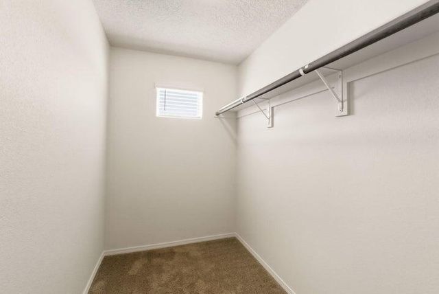 19 Hermanos Loop, Los Lunas, NM 87031