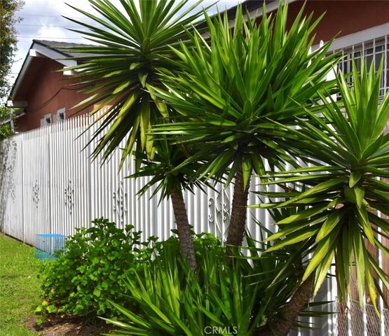 1945 W Vernon, Los Angeles, CA 90062