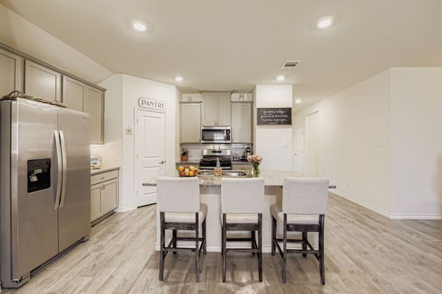 11301 Summer Rain Boulevard, Aubrey, TX 76227