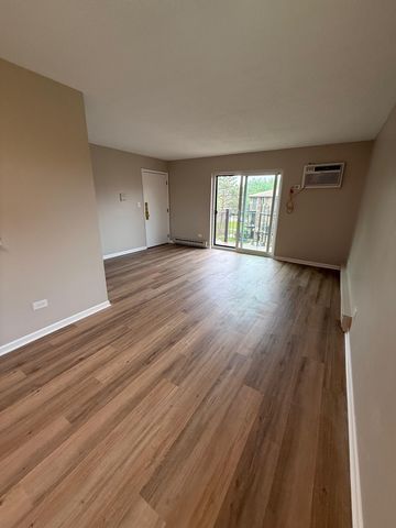 124 Klein Creek Court 124-E, Carol Stream, IL 60188