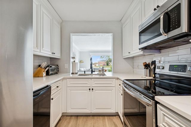 13747 JUNIPER BLOSSOM DRIVE, Tampa, FL 33618