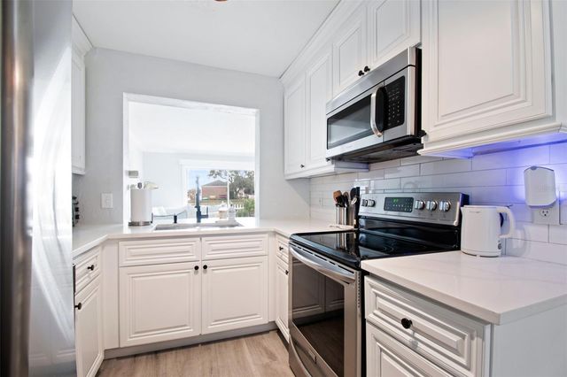 13747 JUNIPER BLOSSOM DRIVE, Tampa, FL 33618