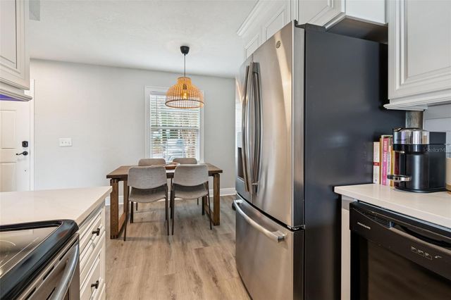 13747 JUNIPER BLOSSOM DRIVE, Tampa, FL 33618