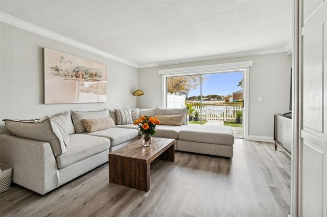 13747 JUNIPER BLOSSOM DRIVE, Tampa, FL 33618